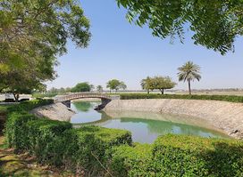 SOHAR EYE