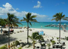 Palm Beach Divers Aruba