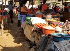 Lizulu Horticulture Market