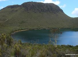 Lake Ellis
