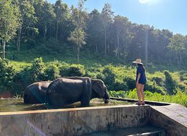 Lanna Kingdom Elephant Sanctuary