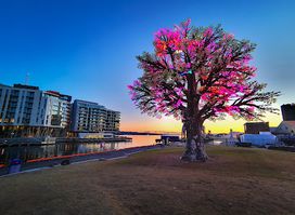 The Oslo Tree