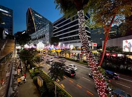 Design Orchard