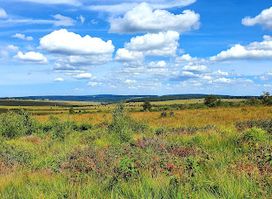 Panorama sur les Hautes Fagnes / Hohes Venn
