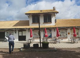 Tambo Lapataia Punta Del Este