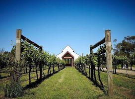 Immerse in the Yarra Valley
