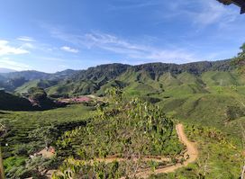 Selamat Datang ke Cameron Highlands
