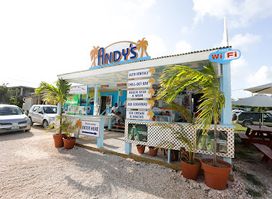 Andy's Auto Rentals