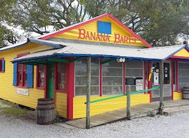 Banana Bart