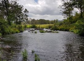Nymboida River