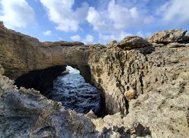 Animal Flower Cave & Restaurant