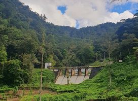 Jungle Trail 8 & 9 - 9A | 9B