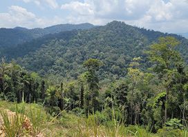Bukit Awan
