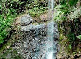 San Carlos Swim Hole