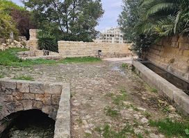 Mellieha Springs