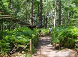 Klimbos Lage Vuursche