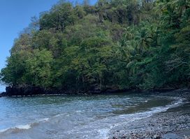 Black bay black sand beach