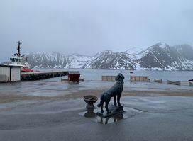 Toke's Bamse-Statue
