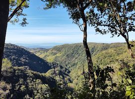 Monteverde Cloud Forest Preserve, Parking Lot.