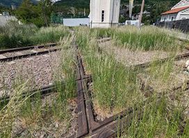 Wendestern der Vinschgerbahn