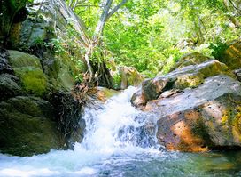 Eco-parque Los Besotes