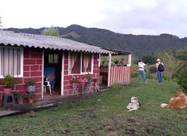 Valle de las Cecropias