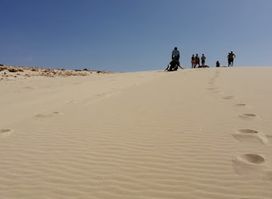 Morro de Areia Nature Reserve