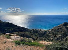 Viewpoint
