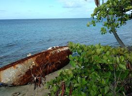 FUN BROTHERS RENTALS & BIO BAY VIEQUES
