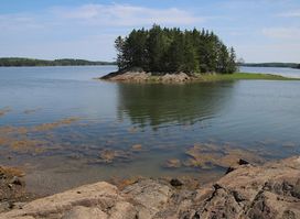 Cobscook Bay State Park