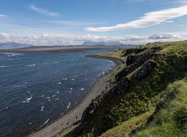 Hvitserkur
