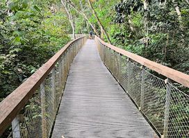 Macritchie Treetop Walk Trailhead