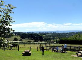 Payne's Rise Wines