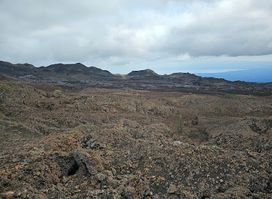 Volcano Sierra Negra El Cura station