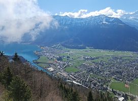 Harder Kulm