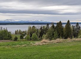 Moose Garden
