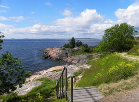 Susisaari