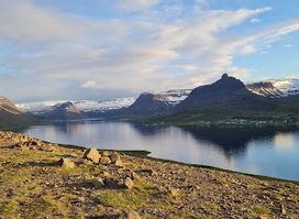 View on the west Fjord