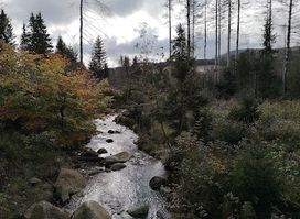 Märchenpfad "Das weiße Reh"