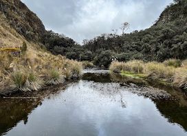Lagunas Unidas