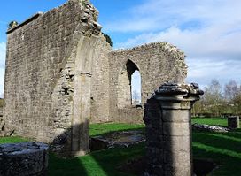 Roscommon Friary