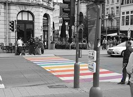 Regenboog zebra