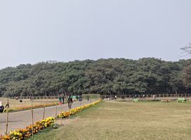 The Great Banyan Tree