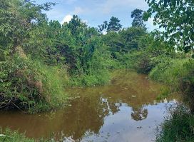 Guyana Zoo