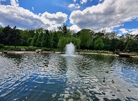 Mezhyhirya Park