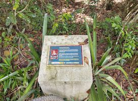 Mata do Seró