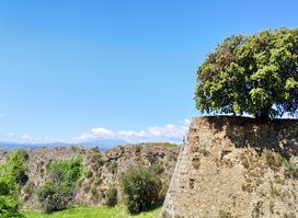 Castell de Montjuïc