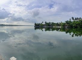 Cherai Beach Road View Point