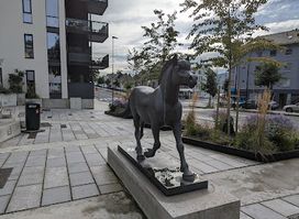 Ålesund Hest
