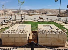 David and Paula Ben Gurion gravesite